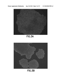 DEFINED CELL CULTURING SURFACES AND METHODS OF USE diagram and image