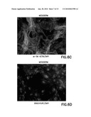 DEFINED CELL CULTURING SURFACES AND METHODS OF USE diagram and image