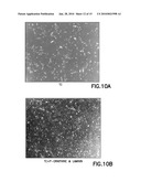 DEFINED CELL CULTURING SURFACES AND METHODS OF USE diagram and image