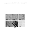 MICROFLUIDIC DEVICE FOR PREPARING MIXTURES diagram and image