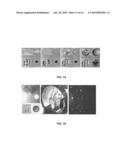 MICROFLUIDIC DEVICE FOR PREPARING MIXTURES diagram and image