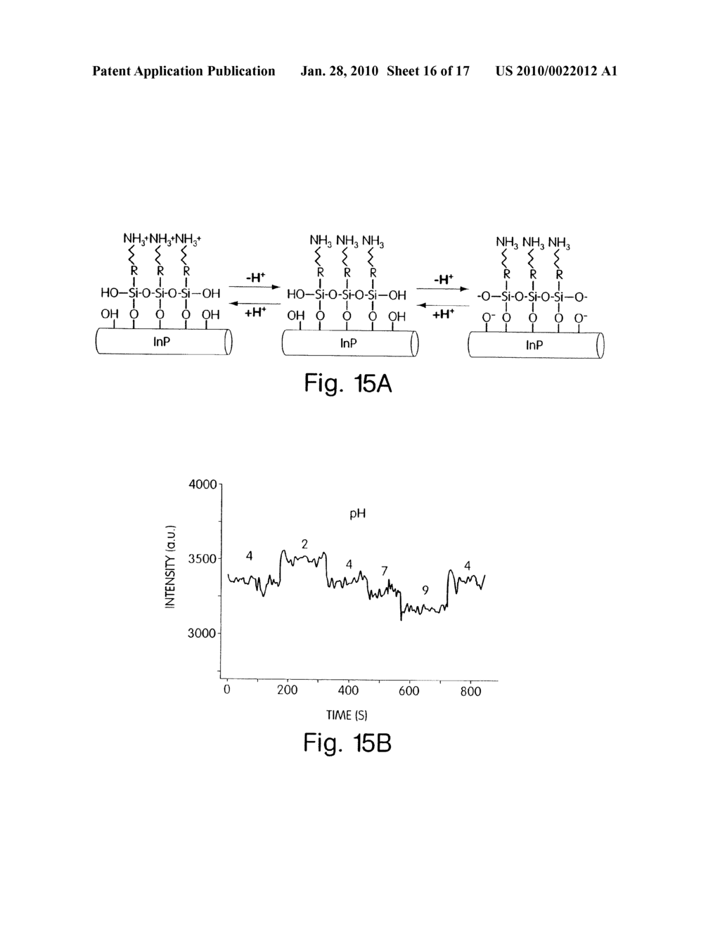 NANOSENSORS - diagram, schematic, and image 17