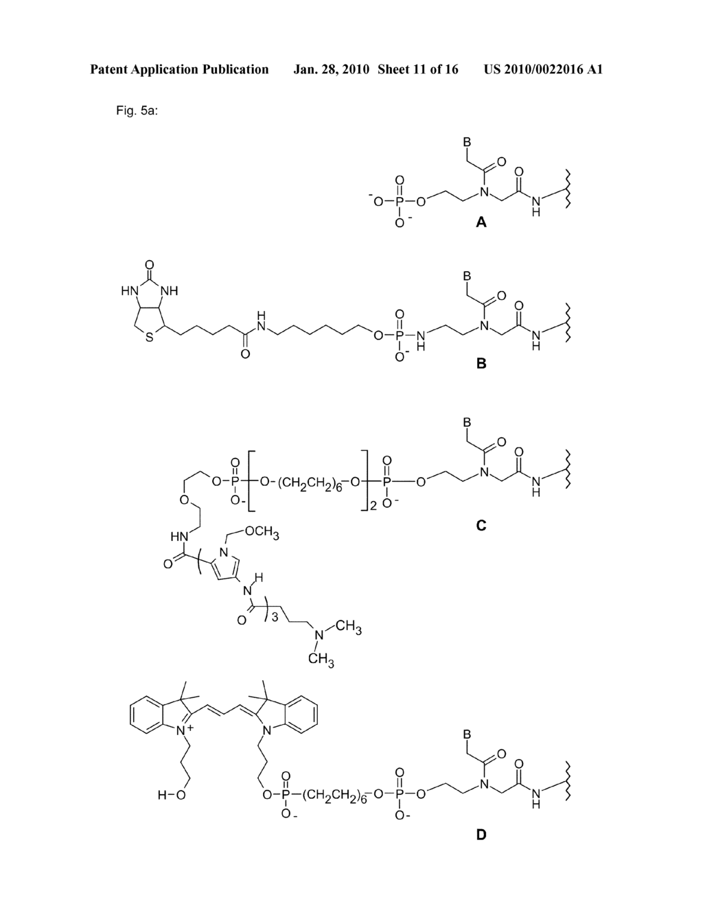 POLYAMIDE NUCLEIC ACID DERIVATIVES AND AGENTS, AND PROCESSES FOR PREPARING THEM - diagram, schematic, and image 12