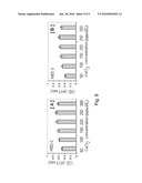 METHOD OF DETECTING HUMAN BETA-DEFENSINS diagram and image