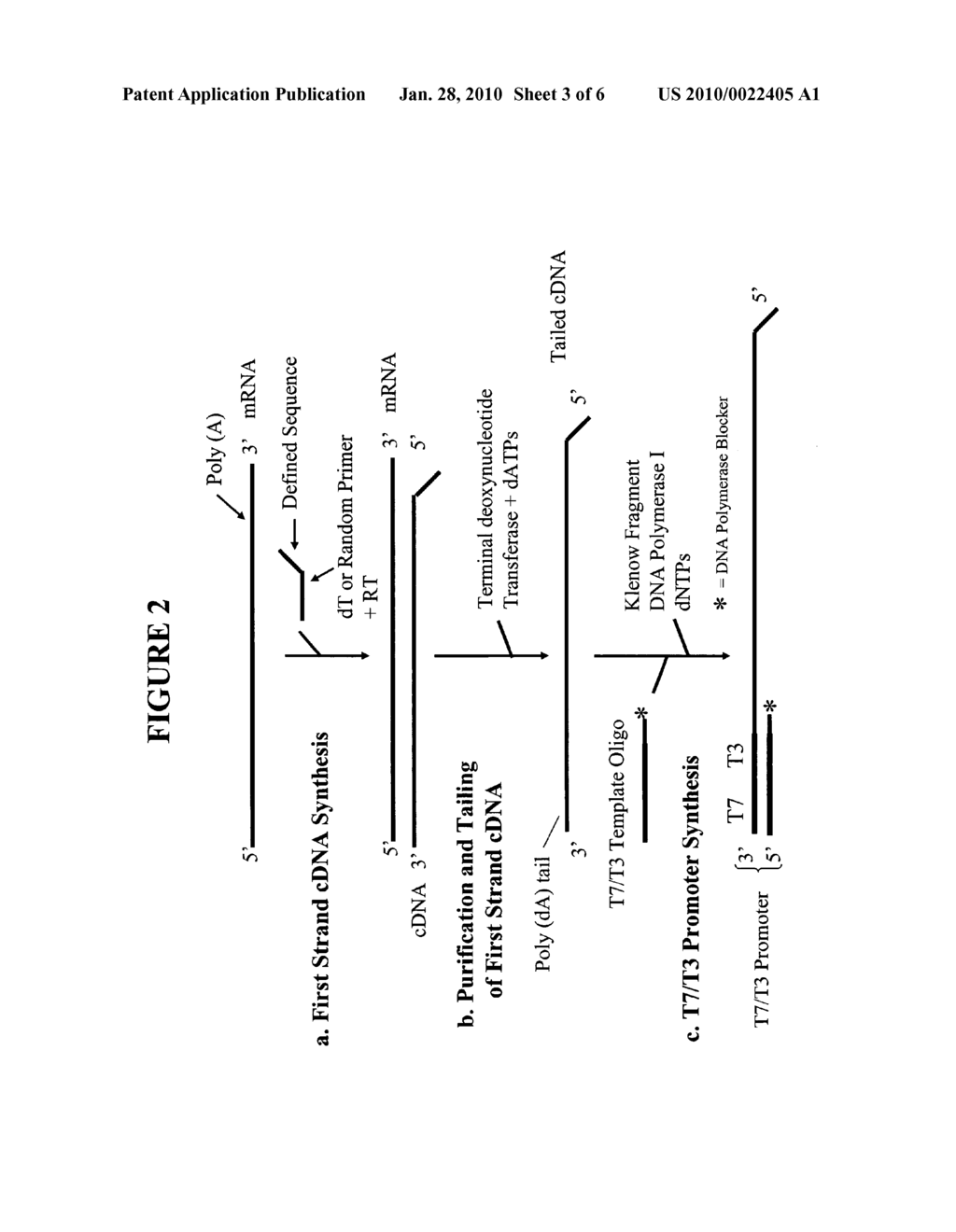 Methods and Kits for Sense RNA Synthesis - diagram, schematic, and image 04