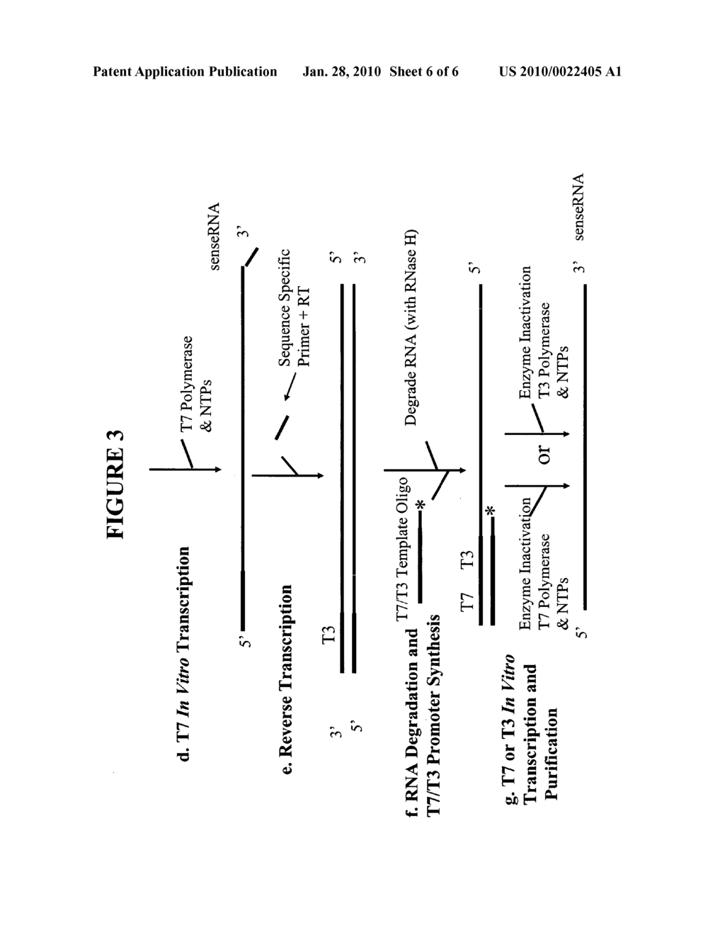 Methods and Kits for Sense RNA Synthesis - diagram, schematic, and image 07