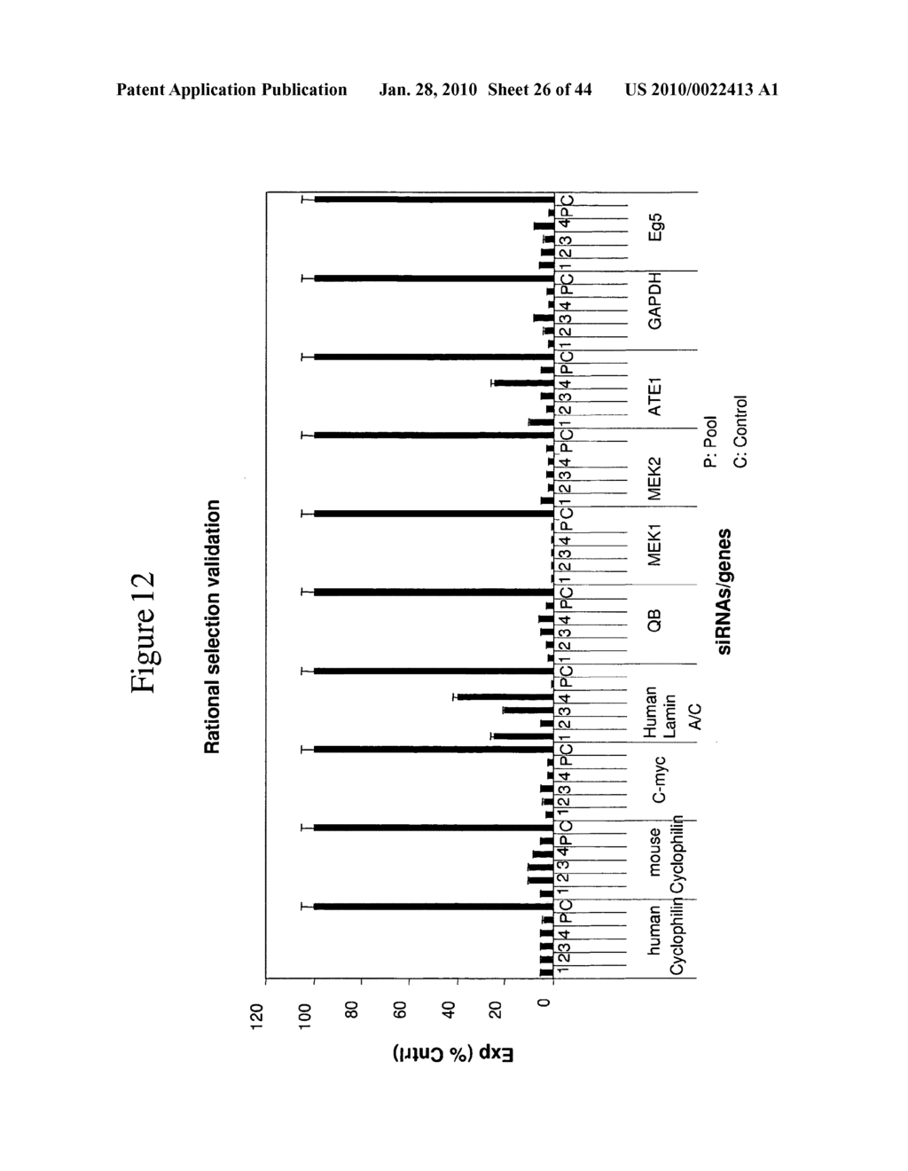 siRNA targeting Ras-related nuclear protein RAN - diagram, schematic, and image 27