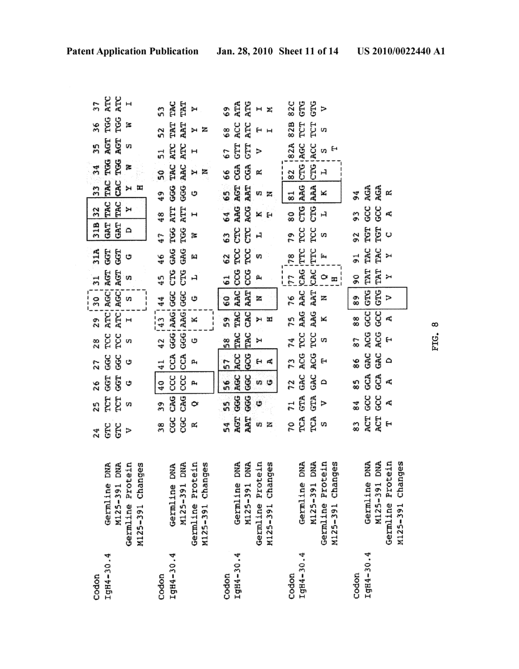 VH4 Codon Signature For Multiple Sclerosis - diagram, schematic, and image 12