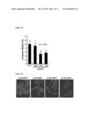 COMPOSITION FOR TREATING CANCER AND USE THEREOF diagram and image