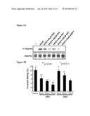 COMPOSITION FOR TREATING CANCER AND USE THEREOF diagram and image