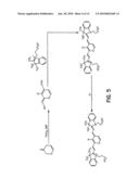 RECEPTOR-AVID EXOGENOUS OPTICAL CONTRAST AND THERAPEUTIC AGENTS diagram and image