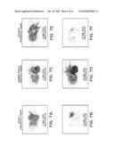 RECEPTOR-AVID EXOGENOUS OPTICAL CONTRAST AND THERAPEUTIC AGENTS diagram and image