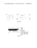 Nanobodies for the treatment of aggregation-mediated disorders diagram and image