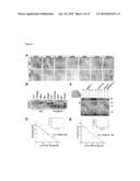 NoGo Receptor 1 and Fibroblast Growth Factor Interactions diagram and image