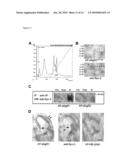 NoGo Receptor 1 and Fibroblast Growth Factor Interactions diagram and image