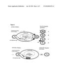 CHIRAL COMPOUNDS SUBSTITUTED WITH PHOSPHONATE ACID ESTER FUNCTIONS OR PHOSPHONIC ACID FUNCTIONS diagram and image