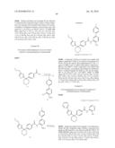 CYCLOALKYLIDENE AND HETEROCYCLOALKYLIDENE INHIBITOR COMPOUNDS diagram and image