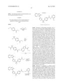 CYCLOALKYLIDENE AND HETEROCYCLOALKYLIDENE INHIBITOR COMPOUNDS diagram and image