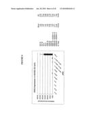 Long interfering nucleic acid duplexes targeting multiple RNA targets diagram and image