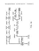 HIGH ARACHIDONIC ACID PRODUCING STRAINS OF YARROWIA LIPOLYTICA diagram and image