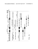 HIGH ARACHIDONIC ACID PRODUCING STRAINS OF YARROWIA LIPOLYTICA diagram and image