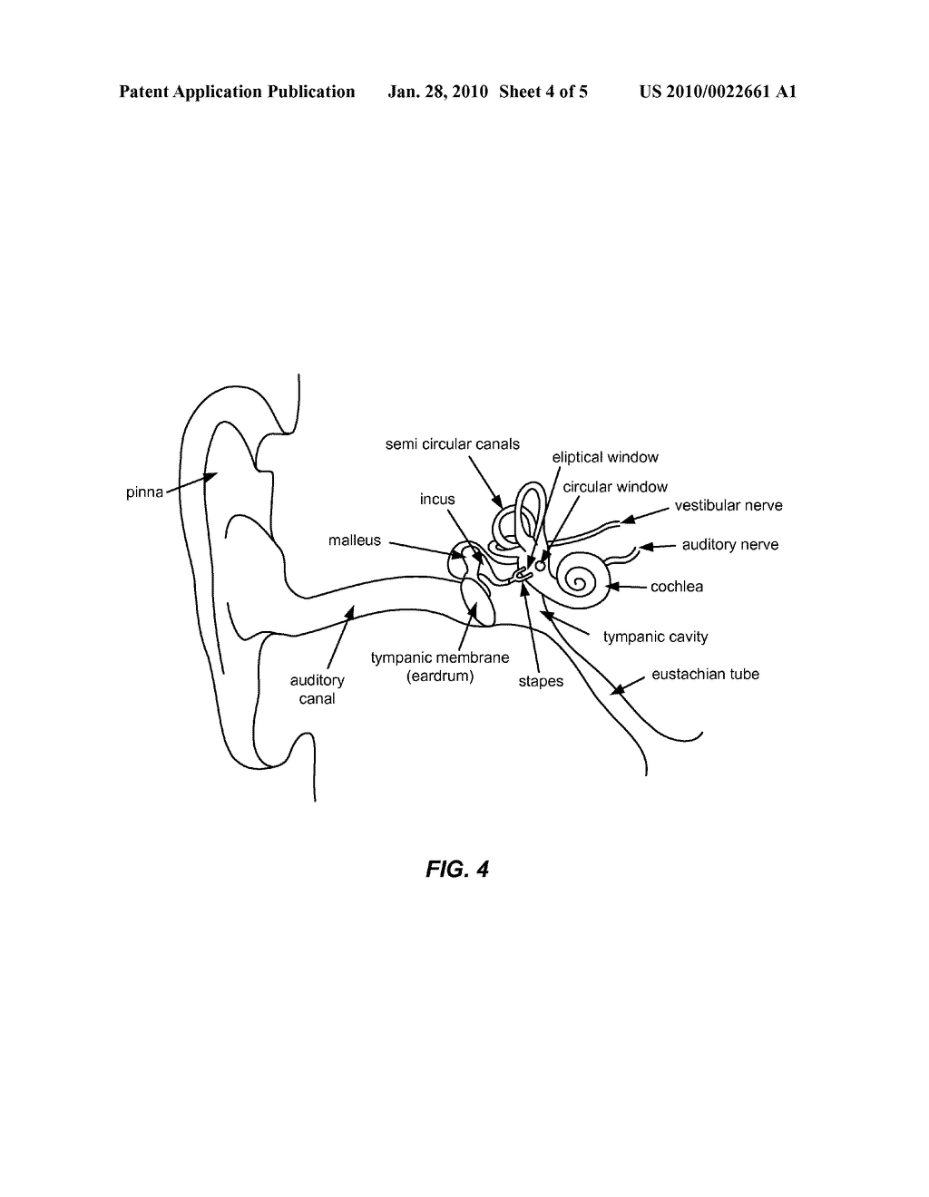 CONTROLLED RELEASE COMPOSITIONS FOR MODULATING FREE-RADICAL INDUCED DAMAGE AND METHODS OF USE THEREOF - diagram, schematic, and image 05