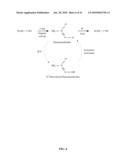 Targeted Delivery of Antimicrobial Agents diagram and image