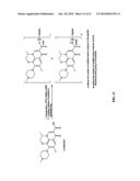 Targeted Delivery of Antimicrobial Agents diagram and image