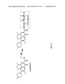 Targeted Delivery of Antimicrobial Agents diagram and image