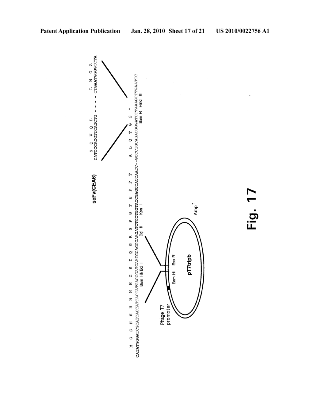 Trimerising Module - diagram, schematic, and image 18