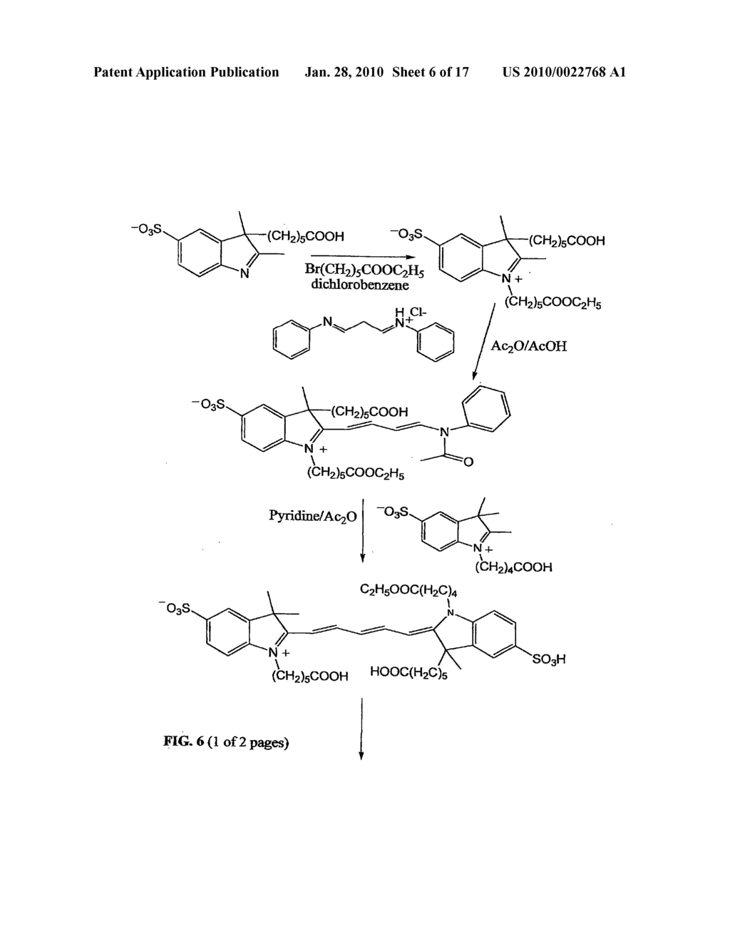 Reactive 1,3'-crosslinked carbocyanines and their bioconjugates - diagram, schematic, and image 07