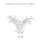 METHODS AND DEVICES FOR TISSUE GRASPING AND ASSESSMENT diagram and image