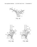 METHODS AND DEVICES FOR TISSUE GRASPING AND ASSESSMENT diagram and image