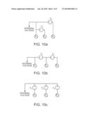 SYSTEM AND METHOD FOR MAINTAINING A DISTRIBUTION OF CURRENTS IN AN ELECTRODE ARRAY USING INDEPENDENT VOLTAGE SOURCES diagram and image