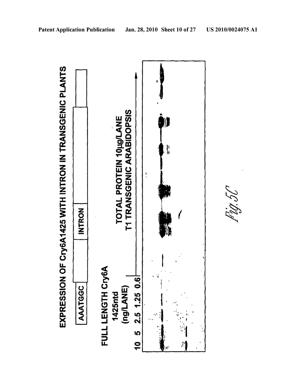 Method for Controlling Plant-Parasitic Nematode Infections in Plants - diagram, schematic, and image 11