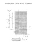 Chain bed conveyor for cylindrical modules diagram and image