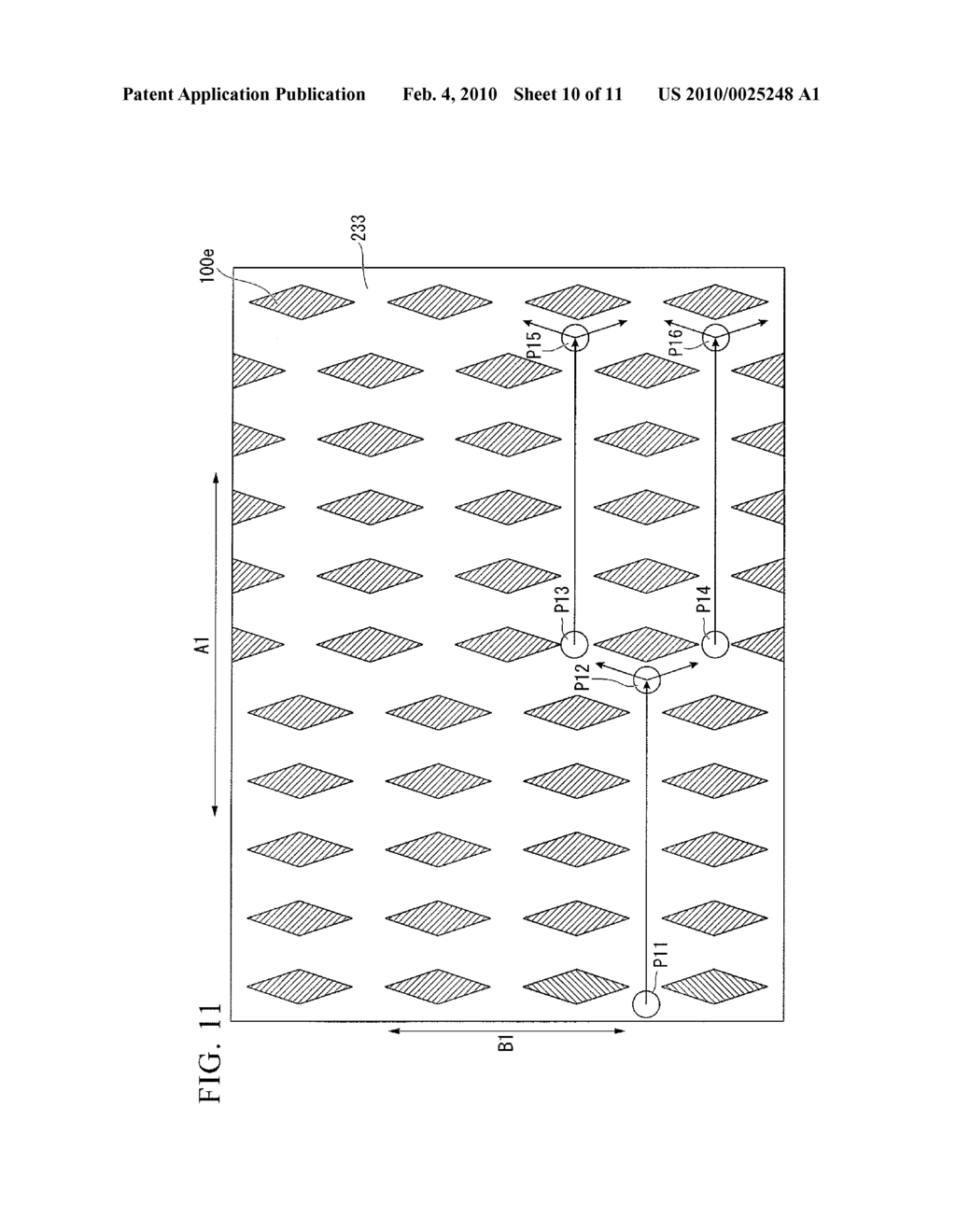 ELECTROPHOERSIS CHIP - diagram, schematic, and image 11