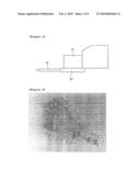 SLIDING-TYPE APPARATUS FOR ABSORBING FRONT SHOCK ENERGY diagram and image