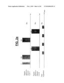 METHOD FOR RADIO-FREQUENCY NUCLEAR MAGNETIC RESONANCE IMAGING diagram and image