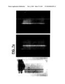 METHOD FOR RADIO-FREQUENCY NUCLEAR MAGNETIC RESONANCE IMAGING diagram and image