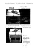 METHOD FOR RADIO-FREQUENCY NUCLEAR MAGNETIC RESONANCE IMAGING diagram and image