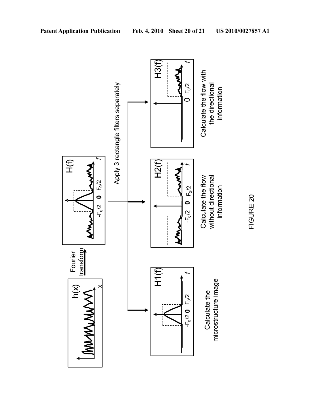 IN VIVO STRUCTURAL AND FLOW IMAGING - diagram, schematic, and image 21