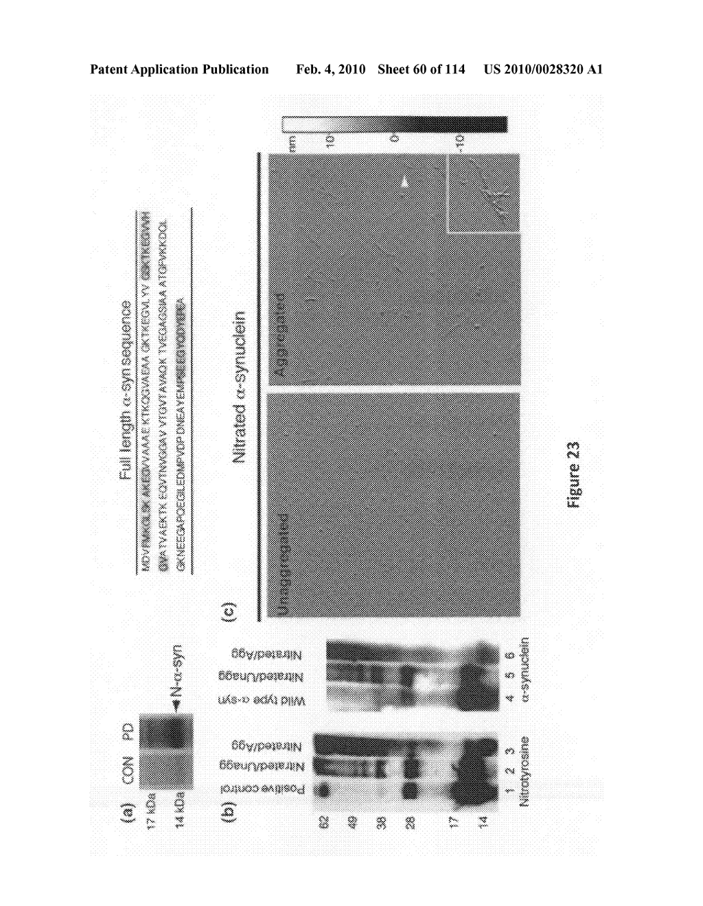 Methods and Compositions for Inhibiting Diseases of the Central Nervous System - diagram, schematic, and image 61