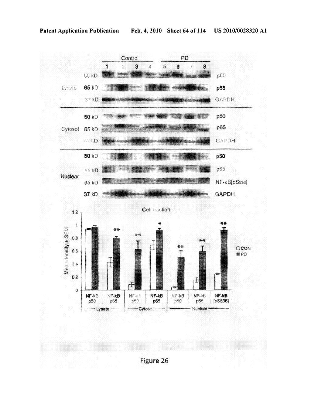 Methods and Compositions for Inhibiting Diseases of the Central Nervous System - diagram, schematic, and image 65