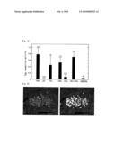 VERMIN EXTERMINATION USING LYSOZYME, SALT OR BIOLOGICAL FRAGMENT THEREOF, OR LYSOZYME-RELATED PEPTIDE AS AN EGG RECOGNITION PHEROMONE diagram and image