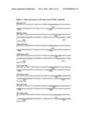 ANTIBODIES AGAINST VASCULAR ENDOTHELIAL GROWTH FACTOR RECEPTOR-1 diagram and image