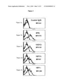 ANTIBODIES AGAINST VASCULAR ENDOTHELIAL GROWTH FACTOR RECEPTOR-1 diagram and image