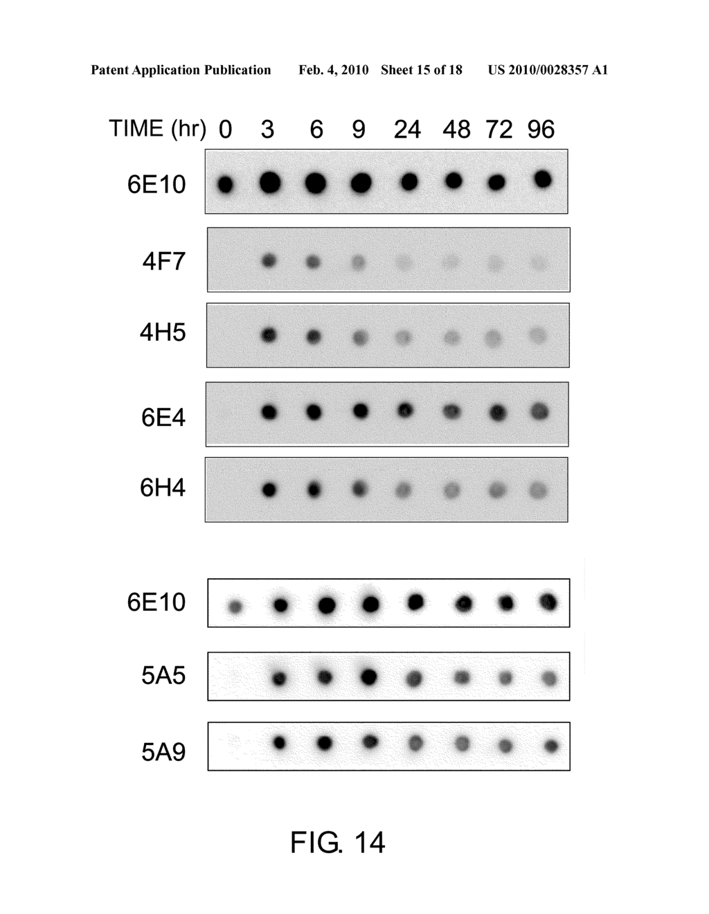 Antibodies That Specifically Bind to Abeta Oligomers and Uses Thereof - diagram, schematic, and image 16