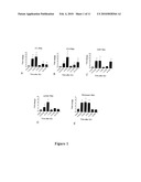 INHIBITION OF SOX9 FUNCTION IN THE TREATMENT OF PROTEOGLYCAN-ASSOCIATED PATHOPHYSIOLOGICAL CONDITIONS diagram and image