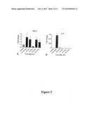 INHIBITION OF SOX9 FUNCTION IN THE TREATMENT OF PROTEOGLYCAN-ASSOCIATED PATHOPHYSIOLOGICAL CONDITIONS diagram and image